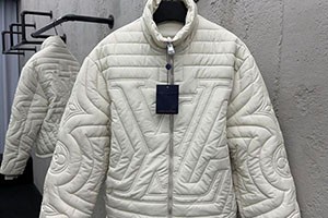 ルイヴィトン ダウン 白