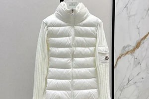 ハイブランド ダウンジャケット レディース